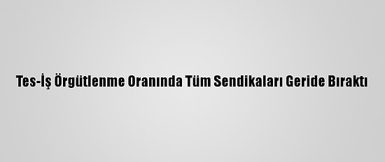 Tes-İş Örgütlenme Oranında Tüm Sendikaları Geride Bıraktı
