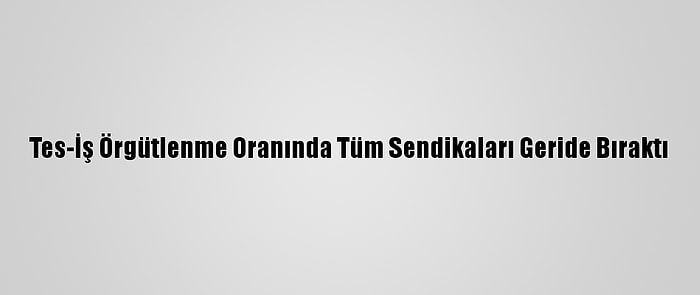 Tes-İş Örgütlenme Oranında Tüm Sendikaları Geride Bıraktı