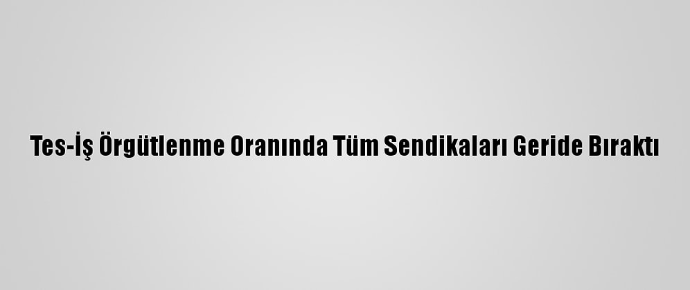 Tes-İş Örgütlenme Oranında Tüm Sendikaları Geride Bıraktı