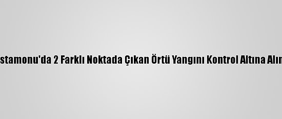 Kastamonu'da 2 Farklı Noktada Çıkan Örtü Yangını Kontrol Altına Alındı