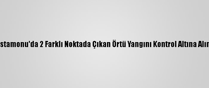 Kastamonu'da 2 Farklı Noktada Çıkan Örtü Yangını Kontrol Altına Alındı