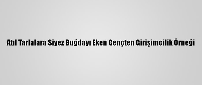 Atıl Tarlalara Siyez Buğdayı Eken Gençten Girişimcilik Örneği