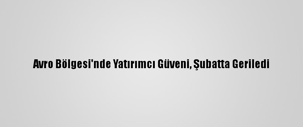 Avro Bölgesi'nde Yatırımcı Güveni, Şubatta Geriledi
