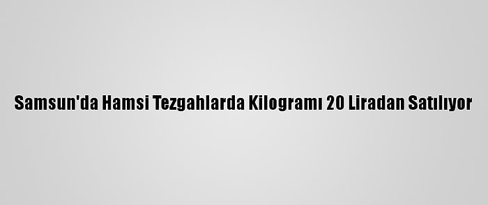 Samsun'da Hamsi Tezgahlarda Kilogramı 20 Liradan Satılıyor