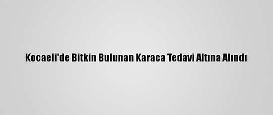 Kocaeli'de Bitkin Bulunan Karaca Tedavi Altına Alındı