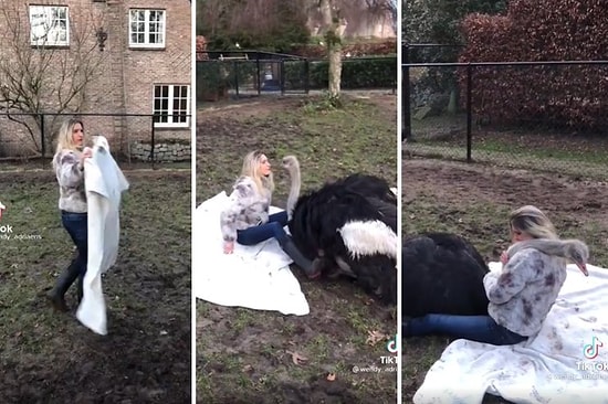 Deve Kuşu ile İnsan Dostunun İzlerken Huzurla Dolacağınız Muhteşem Kavuşma Anları