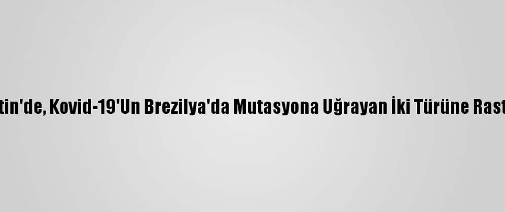Arjantin'de, Kovid-19'Un Brezilya'da Mutasyona Uğrayan İki Türüne Rastlandı