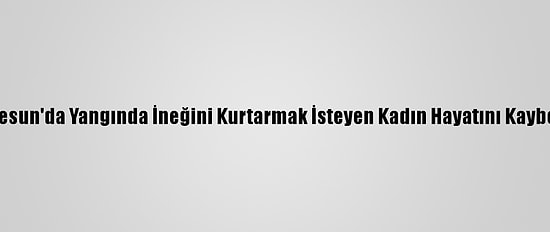 Giresun'da Yangında İneğini Kurtarmak İsteyen Kadın Hayatını Kaybetti