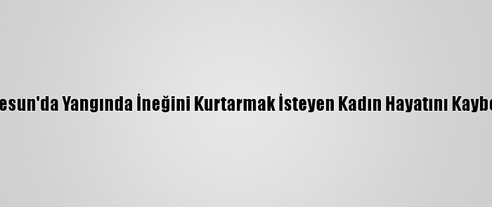 Giresun'da Yangında İneğini Kurtarmak İsteyen Kadın Hayatını Kaybetti