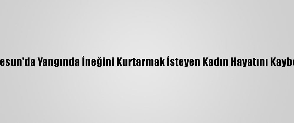 Giresun'da Yangında İneğini Kurtarmak İsteyen Kadın Hayatını Kaybetti