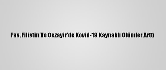 Fas, Filistin Ve Cezayir'de Kovid-19 Kaynaklı Ölümler Arttı