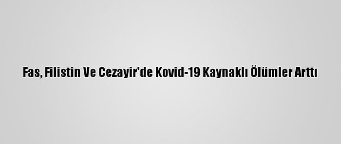 Fas, Filistin Ve Cezayir'de Kovid-19 Kaynaklı Ölümler Arttı