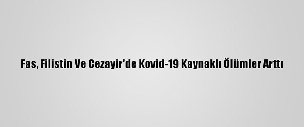 Fas, Filistin Ve Cezayir'de Kovid-19 Kaynaklı Ölümler Arttı