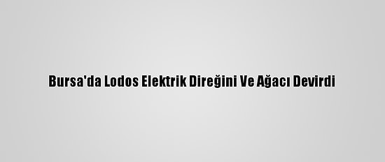Bursa'da Lodos Elektrik Direğini Ve Ağacı Devirdi