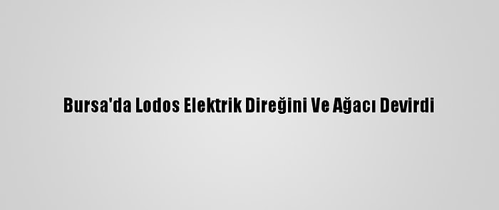 Bursa'da Lodos Elektrik Direğini Ve Ağacı Devirdi