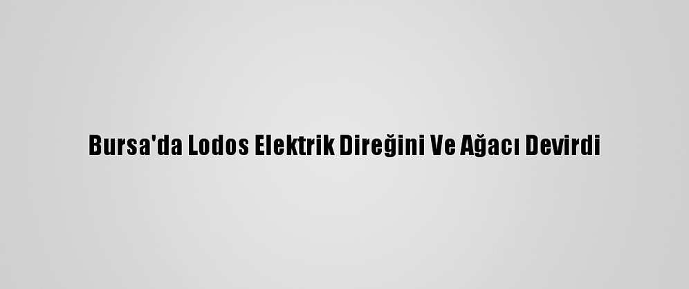 Bursa'da Lodos Elektrik Direğini Ve Ağacı Devirdi
