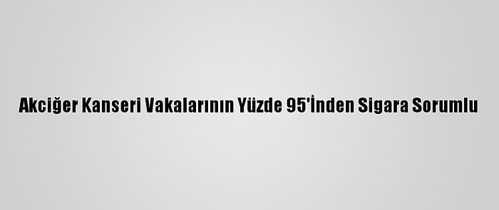 Akciğer Kanseri Vakalarının Yüzde 95'İnden Sigara Sorumlu