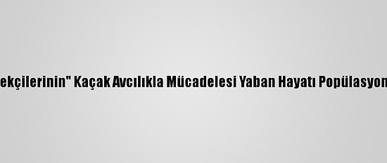"Doğanın Bekçilerinin" Kaçak Avcılıkla Mücadelesi Yaban Hayatı Popülasyonunu Artırdı