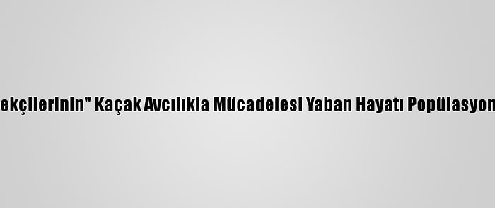 "Doğanın Bekçilerinin" Kaçak Avcılıkla Mücadelesi Yaban Hayatı Popülasyonunu Artırdı