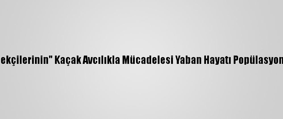 "Doğanın Bekçilerinin" Kaçak Avcılıkla Mücadelesi Yaban Hayatı Popülasyonunu Artırdı
