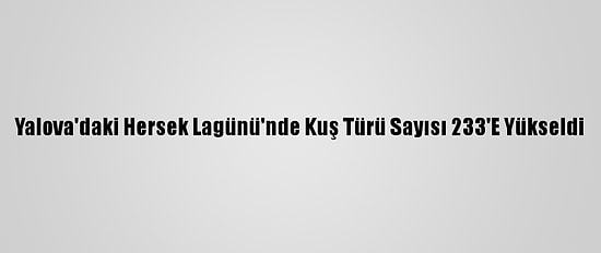 Yalova'daki Hersek Lagünü'nde Kuş Türü Sayısı 233'E Yükseldi