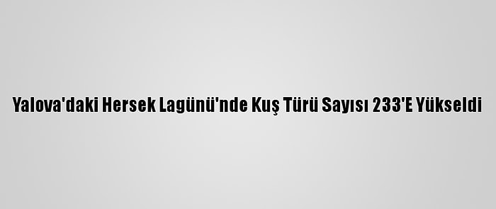 Yalova'daki Hersek Lagünü'nde Kuş Türü Sayısı 233'E Yükseldi