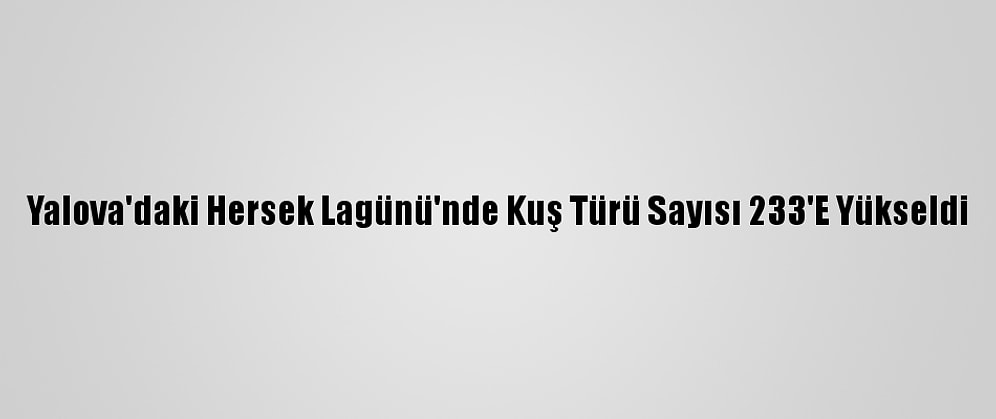 Yalova'daki Hersek Lagünü'nde Kuş Türü Sayısı 233'E Yükseldi