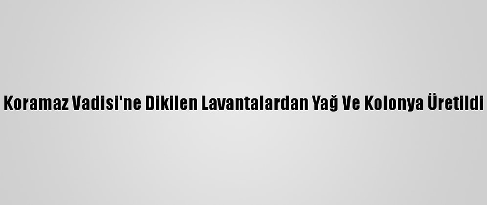 Koramaz Vadisi'ne Dikilen Lavantalardan Yağ Ve Kolonya Üretildi