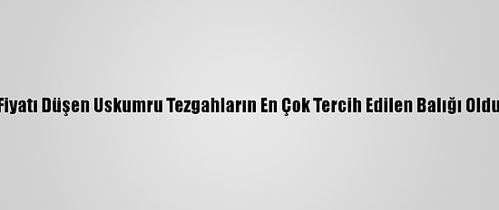 Fiyatı Düşen Uskumru Tezgahların En Çok Tercih Edilen Balığı Oldu
