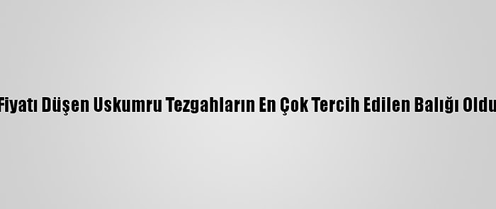 Fiyatı Düşen Uskumru Tezgahların En Çok Tercih Edilen Balığı Oldu