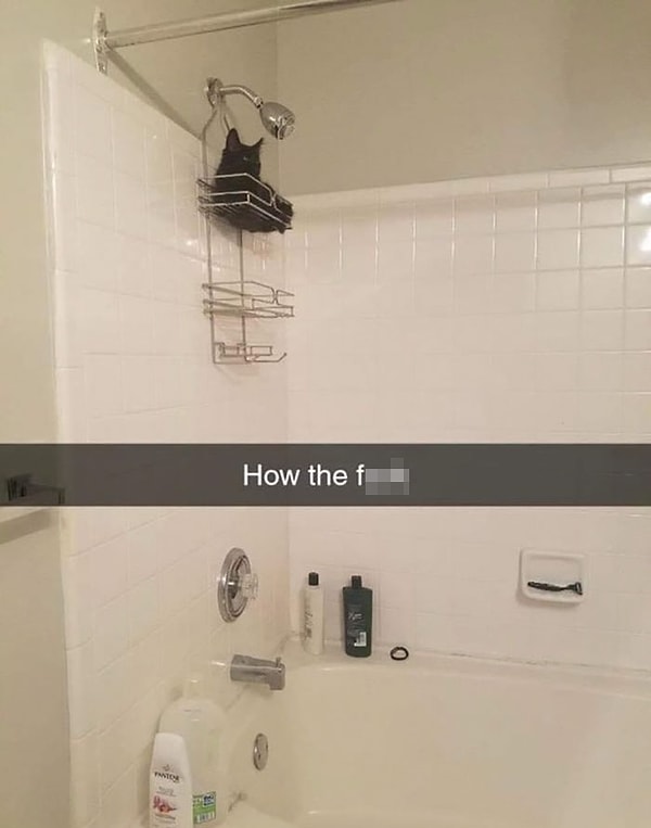 3. Вопрос: КАК??