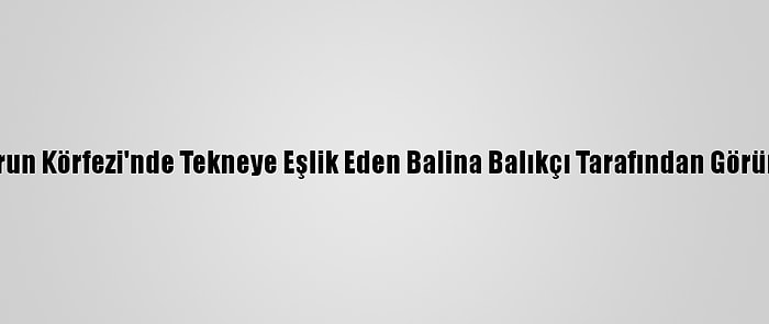 İskenderun Körfezi'nde Tekneye Eşlik Eden Balina Balıkçı Tarafından Görüntülendi