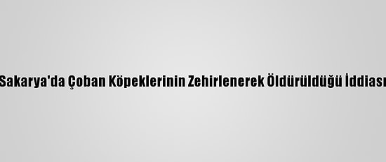 Sakarya'da Çoban Köpeklerinin Zehirlenerek Öldürüldüğü İddiası
