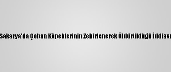 Kapak Görseli