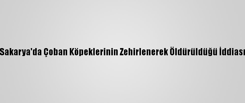 Sakarya'da Çoban Köpeklerinin Zehirlenerek Öldürüldüğü İddiası