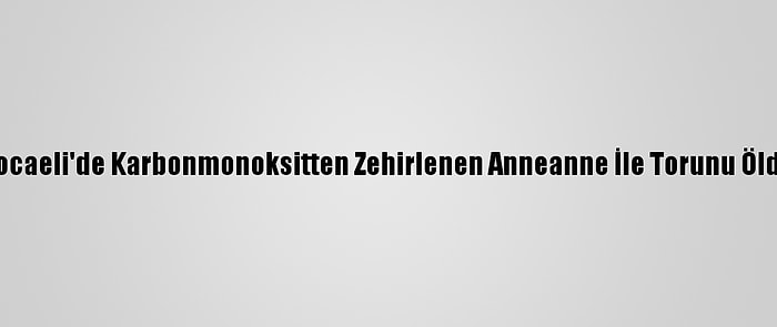 Kocaeli'de Karbonmonoksitten Zehirlenen Anneanne İle Torunu Öldü