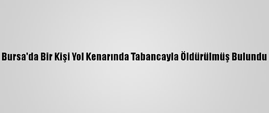 Bursa'da Bir Kişi Yol Kenarında Tabancayla Öldürülmüş Bulundu