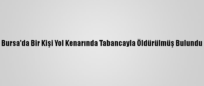 Bursa'da Bir Kişi Yol Kenarında Tabancayla Öldürülmüş Bulundu
