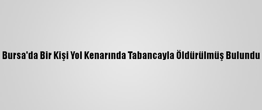 Bursa'da Bir Kişi Yol Kenarında Tabancayla Öldürülmüş Bulundu
