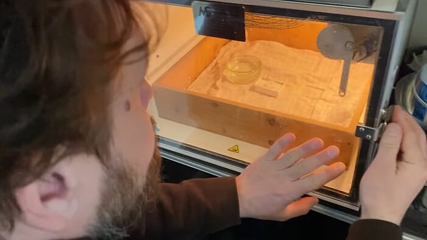 Через несколько дней инкубации он уже смог увидеть бьющееся сердце внутри яйца.