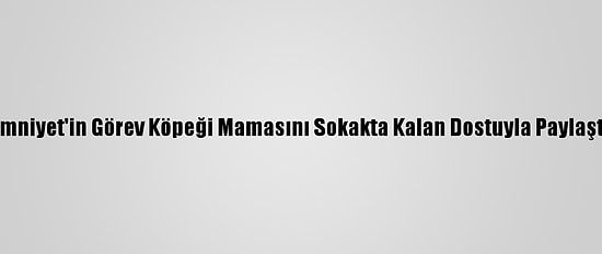 Emniyet'in Görev Köpeği Mamasını Sokakta Kalan Dostuyla Paylaştı