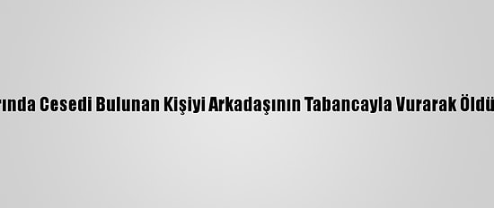 Bursa'da Yol Kenarında Cesedi Bulunan Kişiyi Arkadaşının Tabancayla Vurarak Öldürdüğü Ortaya Çıktı