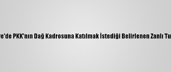 Osmaniye'de PKK'nın Dağ Kadrosuna Katılmak İstediği Belirlenen Zanlı Tutuklandı