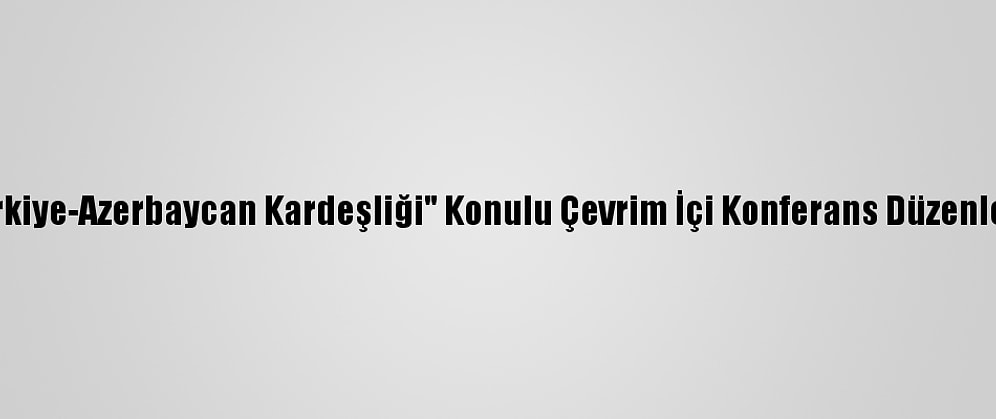"Türkiye-Azerbaycan Kardeşliği" Konulu Çevrim İçi Konferans Düzenlendi