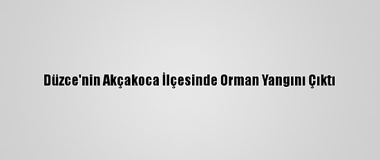 Düzce'nin Akçakoca İlçesinde Orman Yangını Çıktı
