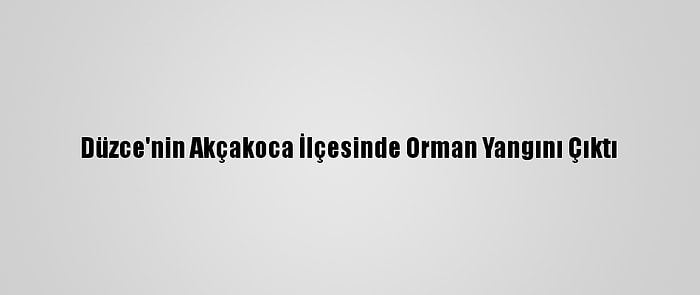 Düzce'nin Akçakoca İlçesinde Orman Yangını Çıktı