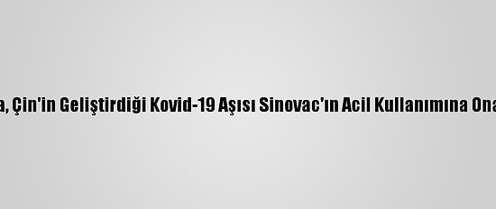 Meksika, Çin'in Geliştirdiği Kovid-19 Aşısı Sinovac'ın Acil Kullanımına Onay Verdi