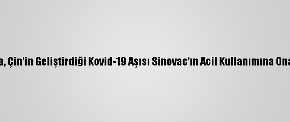 Meksika, Çin'in Geliştirdiği Kovid-19 Aşısı Sinovac'ın Acil Kullanımına Onay Verdi