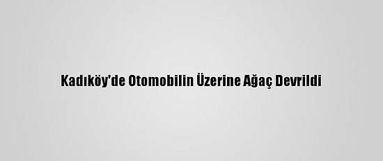 Kadıköy'de Otomobilin Üzerine Ağaç Devrildi