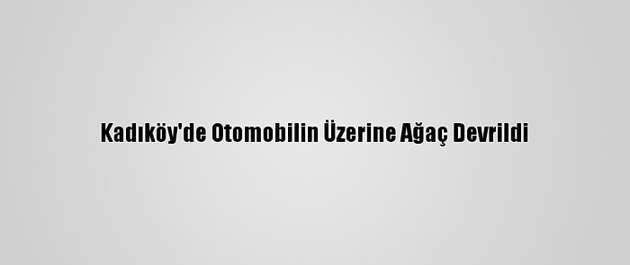 Kadıköy'de Otomobilin Üzerine Ağaç Devrildi